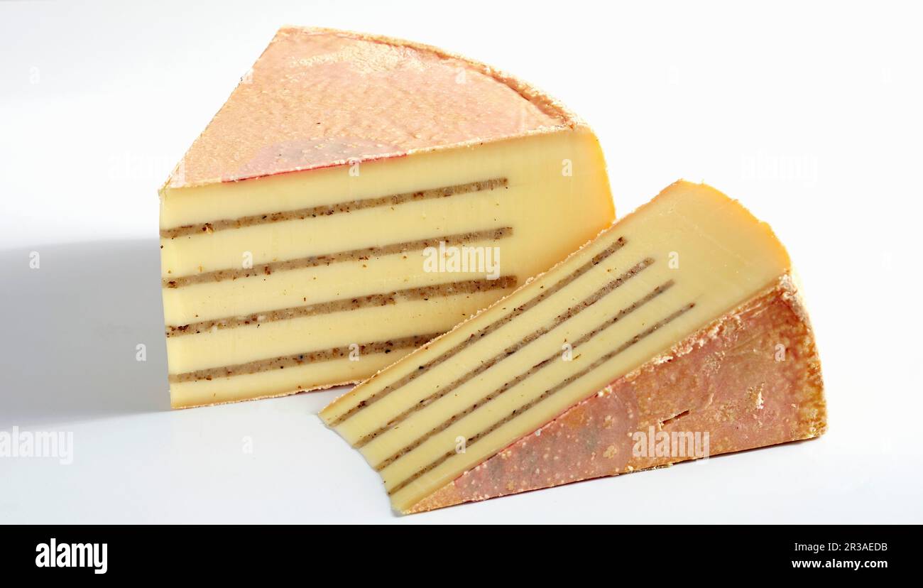 Tarte Suisse al tartufo estivo (formaggio svizzero) Foto Stock