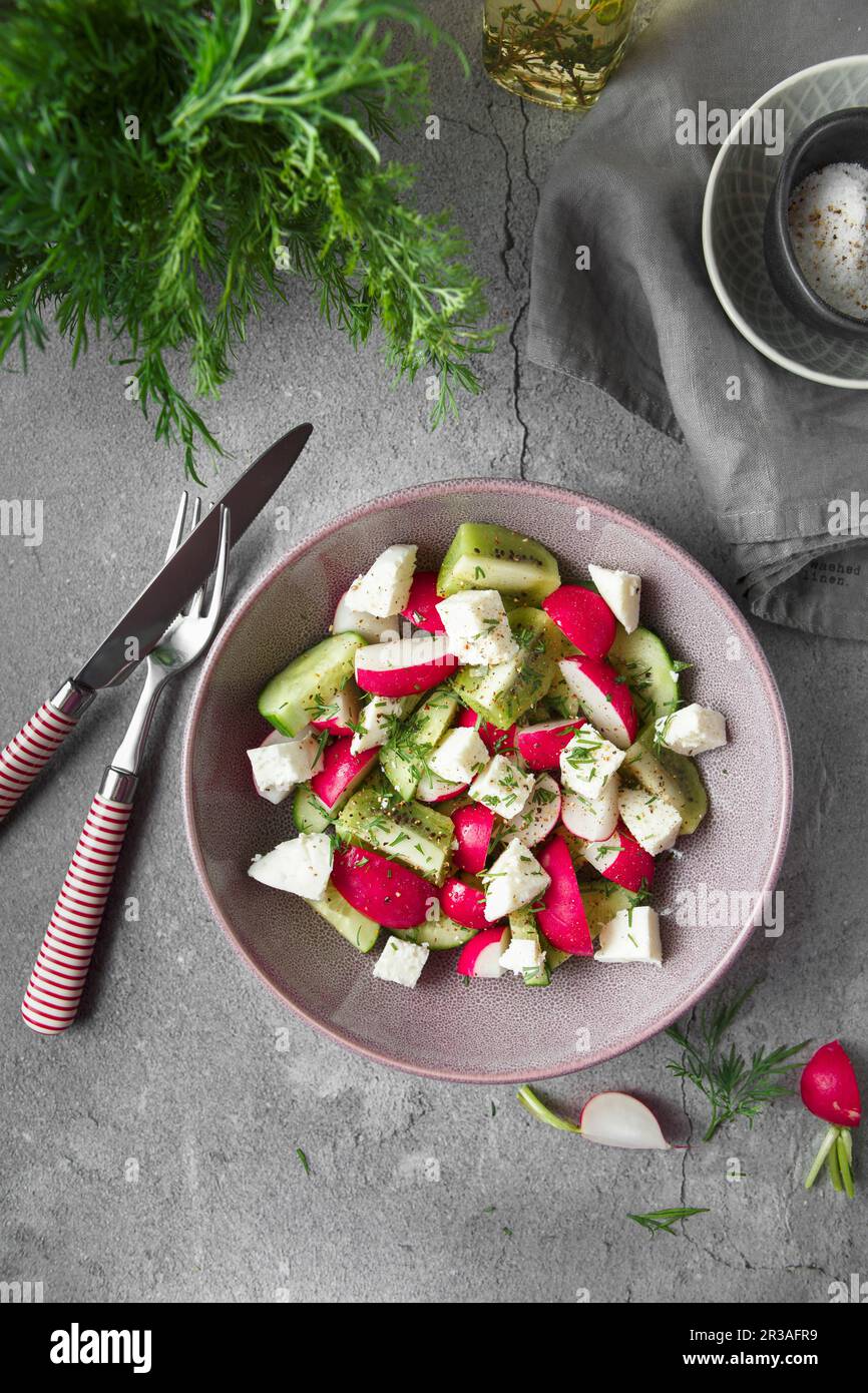 Insalata di ravanello, cetriolo, kiwi, formaggio e aneto in una ciotola su fondo grigio di cemento grunge. Stagionale Foto Stock