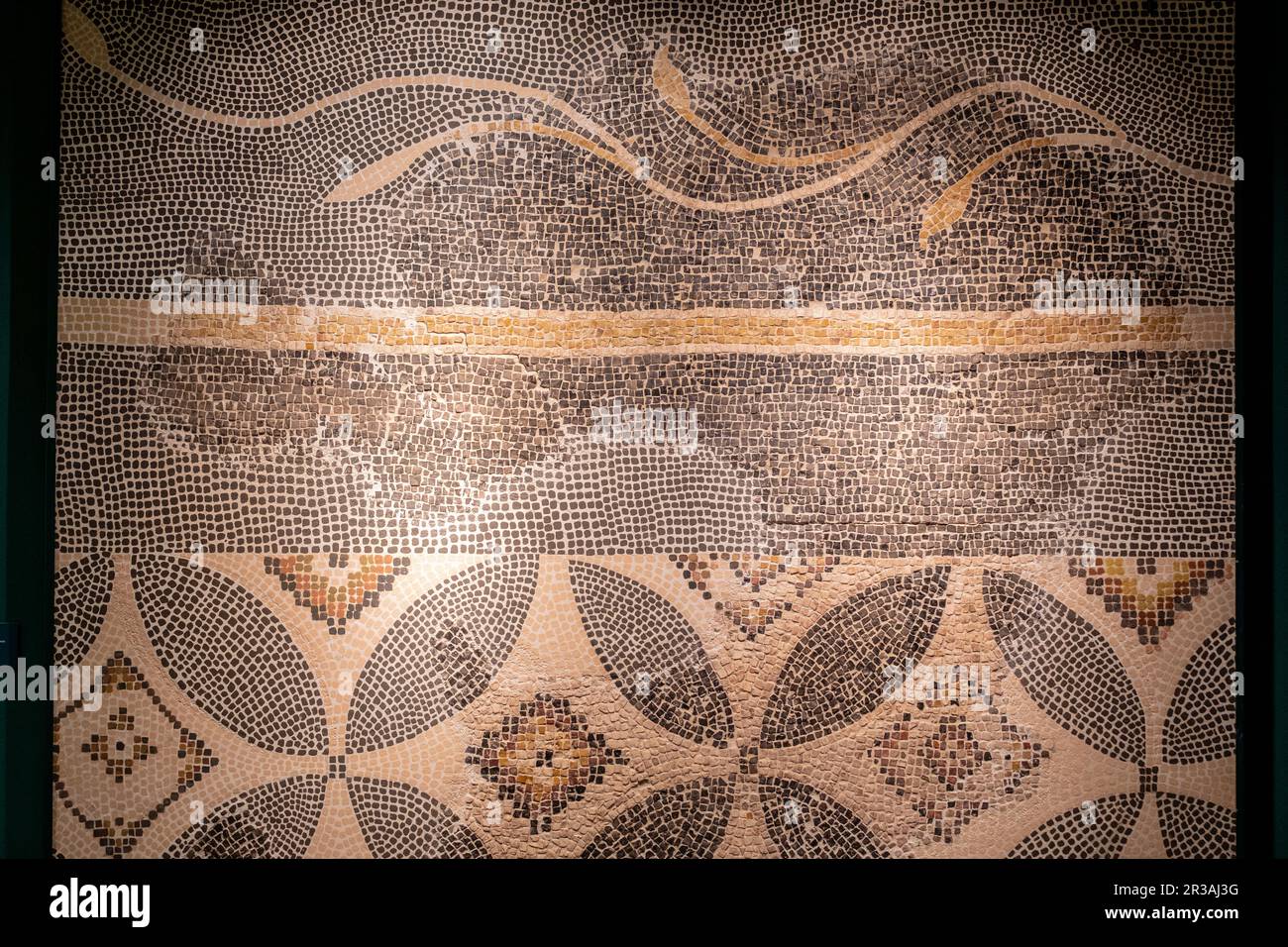 Mosaico con decoracion y geometrica vegetale, Opus Tessellatum, siglos III - IV d.C, calle Cabezo , Calahorra, Museo de la Romanización, Calahorra, La Rioja , Spagna, Europa. Foto Stock