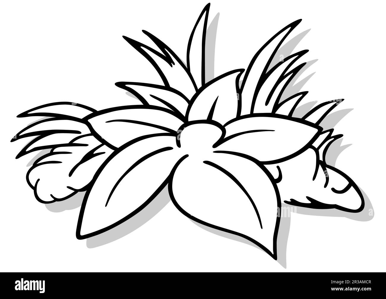 Disegno di un grande fiore giacente nell'erba Illustrazione Vettoriale
