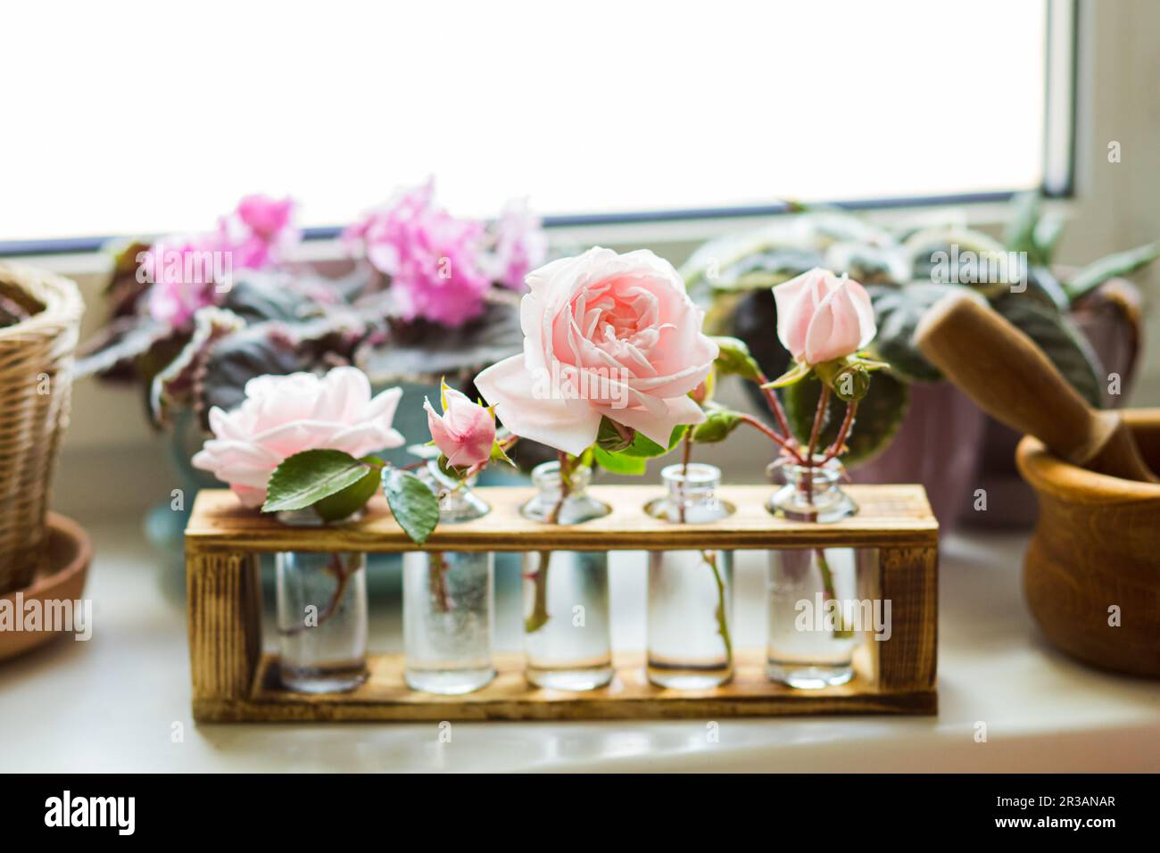 L'olio essenziale di rosa per un piacevole aroma a casa Foto Stock