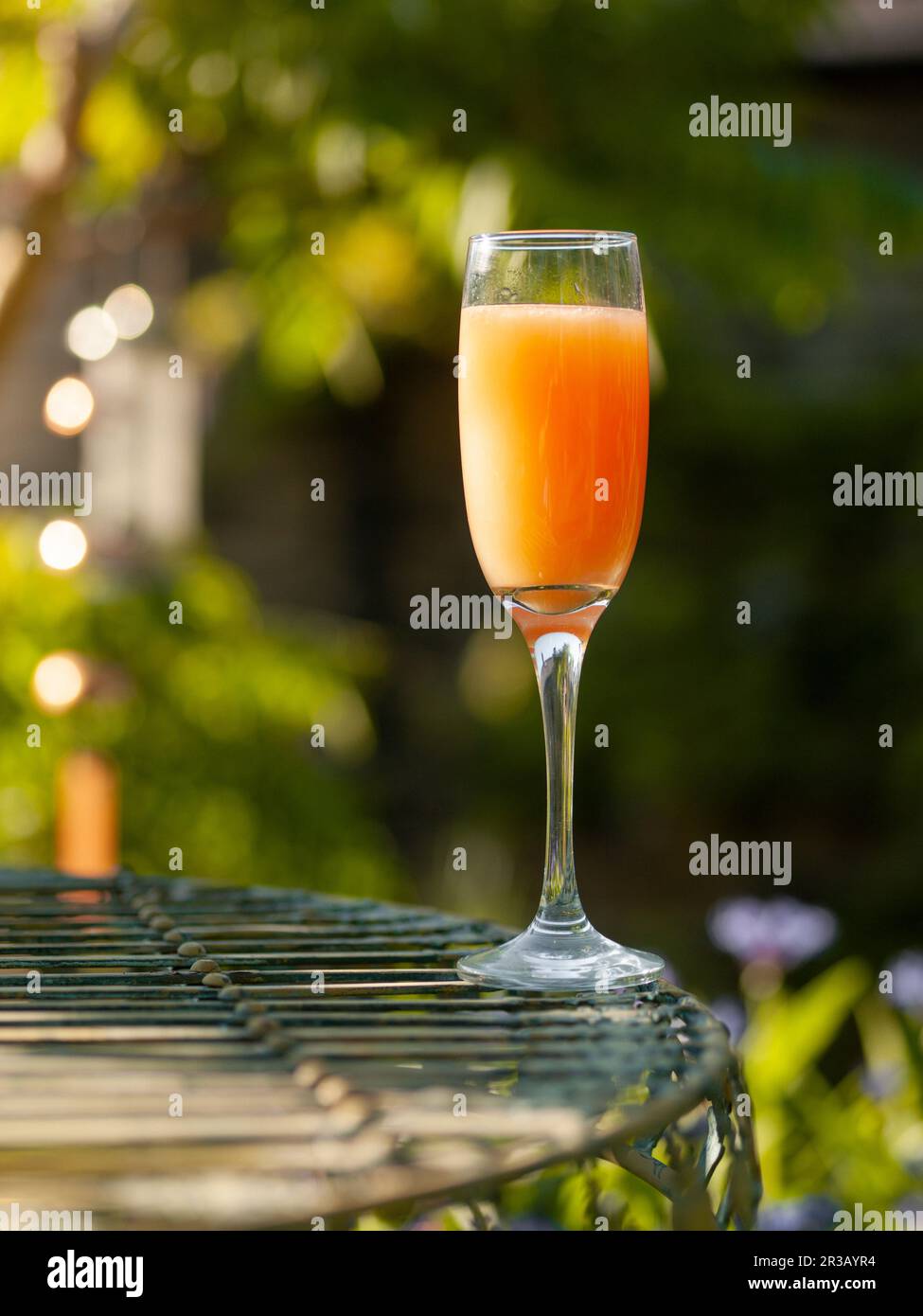 Cocktail d'arancia su un tavolo da giardino Foto Stock