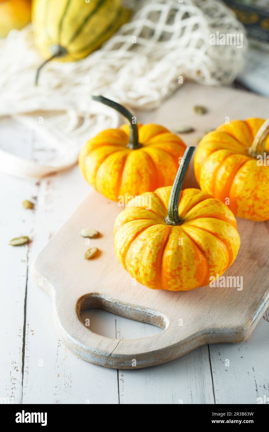 Composizione di vita morta con mini zucche decorative colorate e semi di zucca. Mini zucca arancione Foto Stock