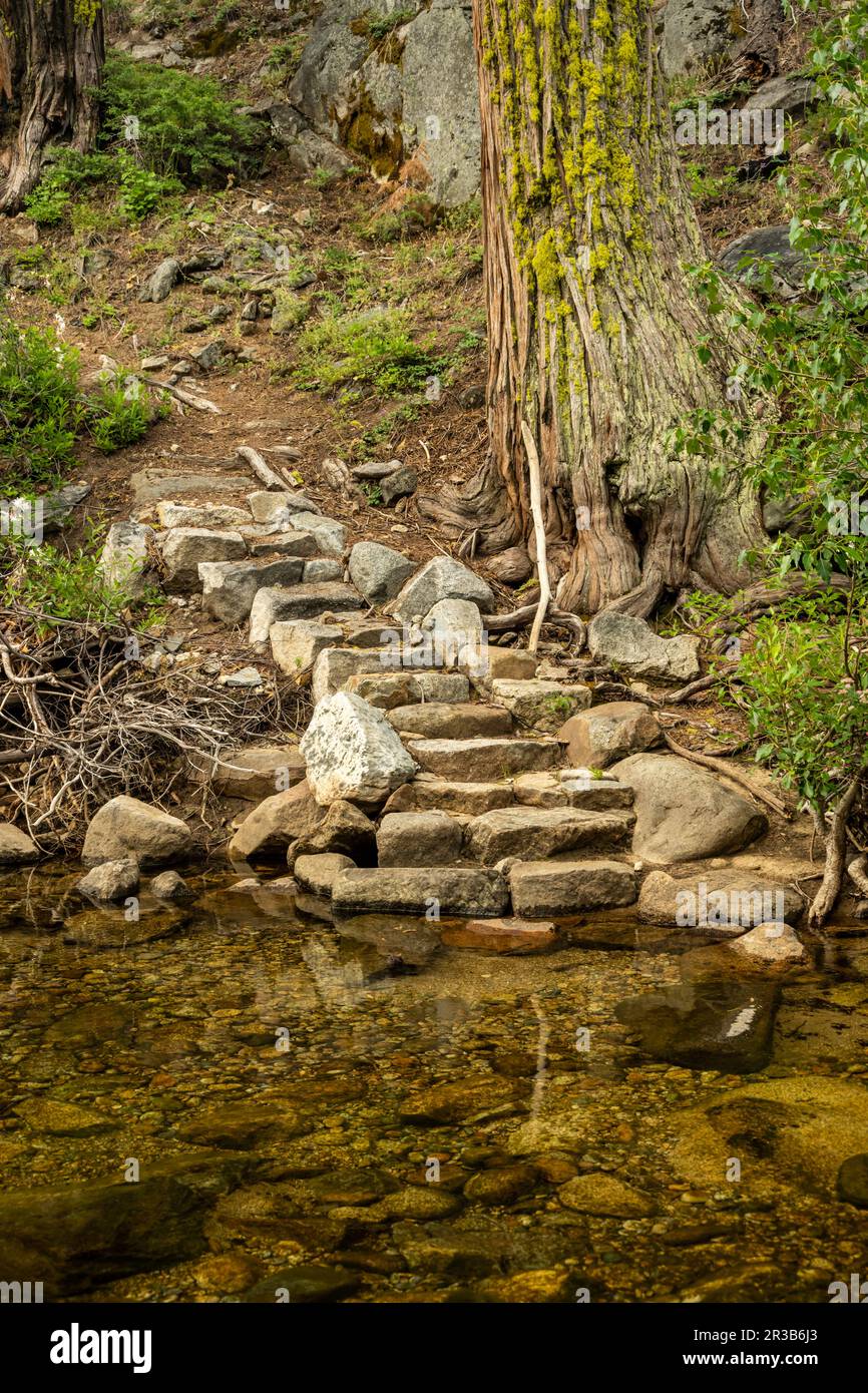 Scalini di pietra piombo escursionisti Uphill dopo un Creek Crossing nel Parco Nazionale di Yosemite Foto Stock