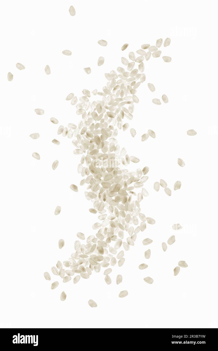 Budino di riso Foto Stock