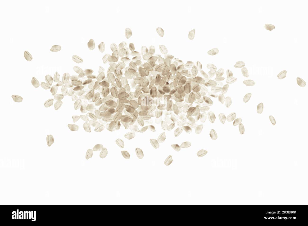 Budino di riso Foto Stock