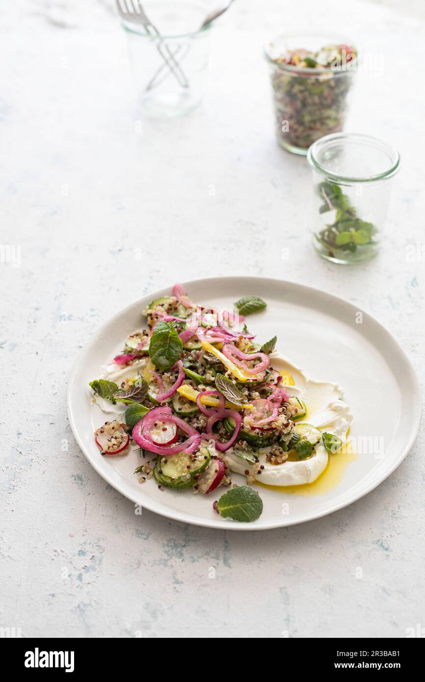 Quinoa tabbuleh su labneh Foto Stock