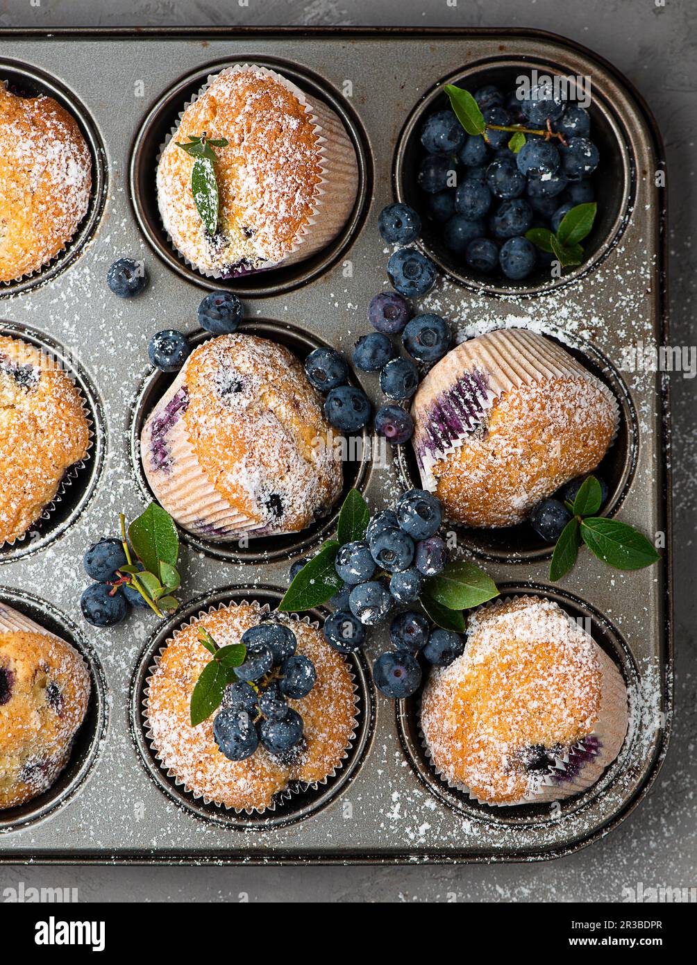 Muffin con mirtilli in un vassoio per muffin Foto Stock