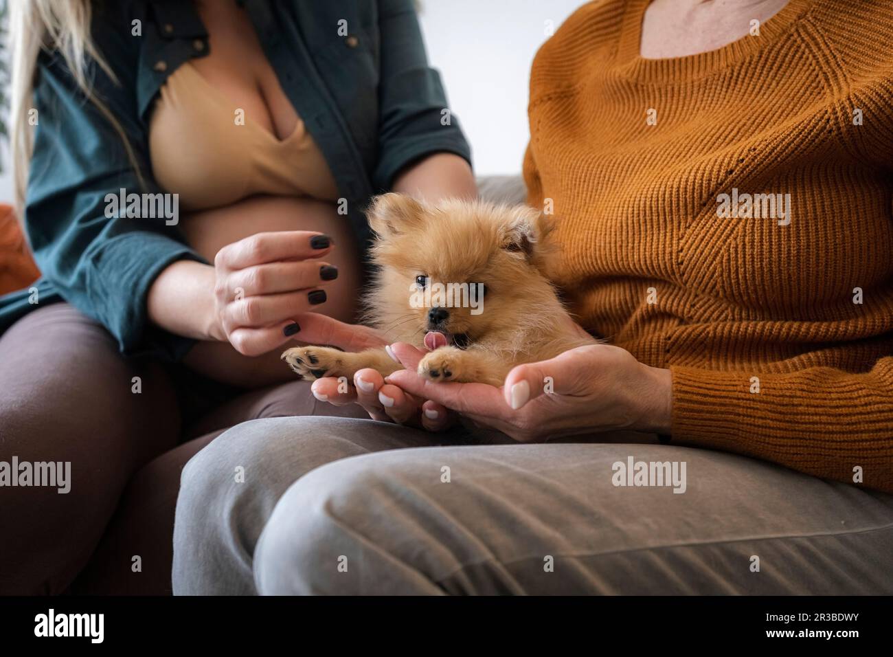 Madre e figlia incinta che tiene il cucciolo seduto a casa Foto Stock