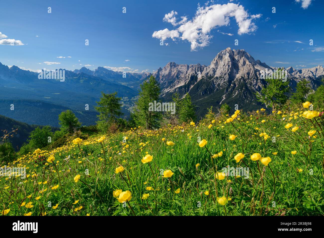 Italia, Veneto, Vista da Monte Rite ad Antelao con prato in primo piano Foto Stock