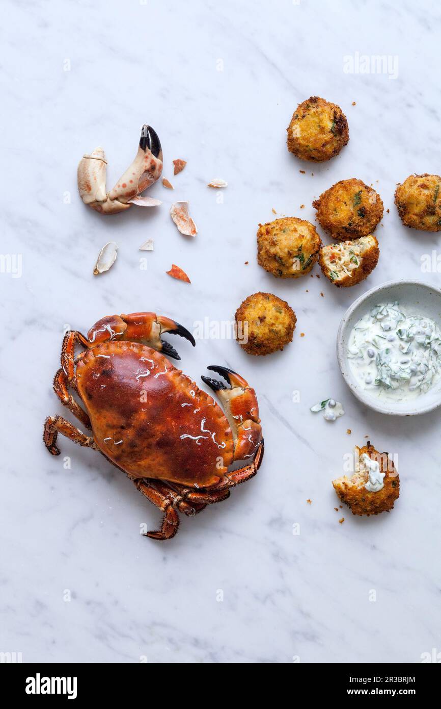 Torta di granchio, salsa di yogurt e granchio Foto Stock