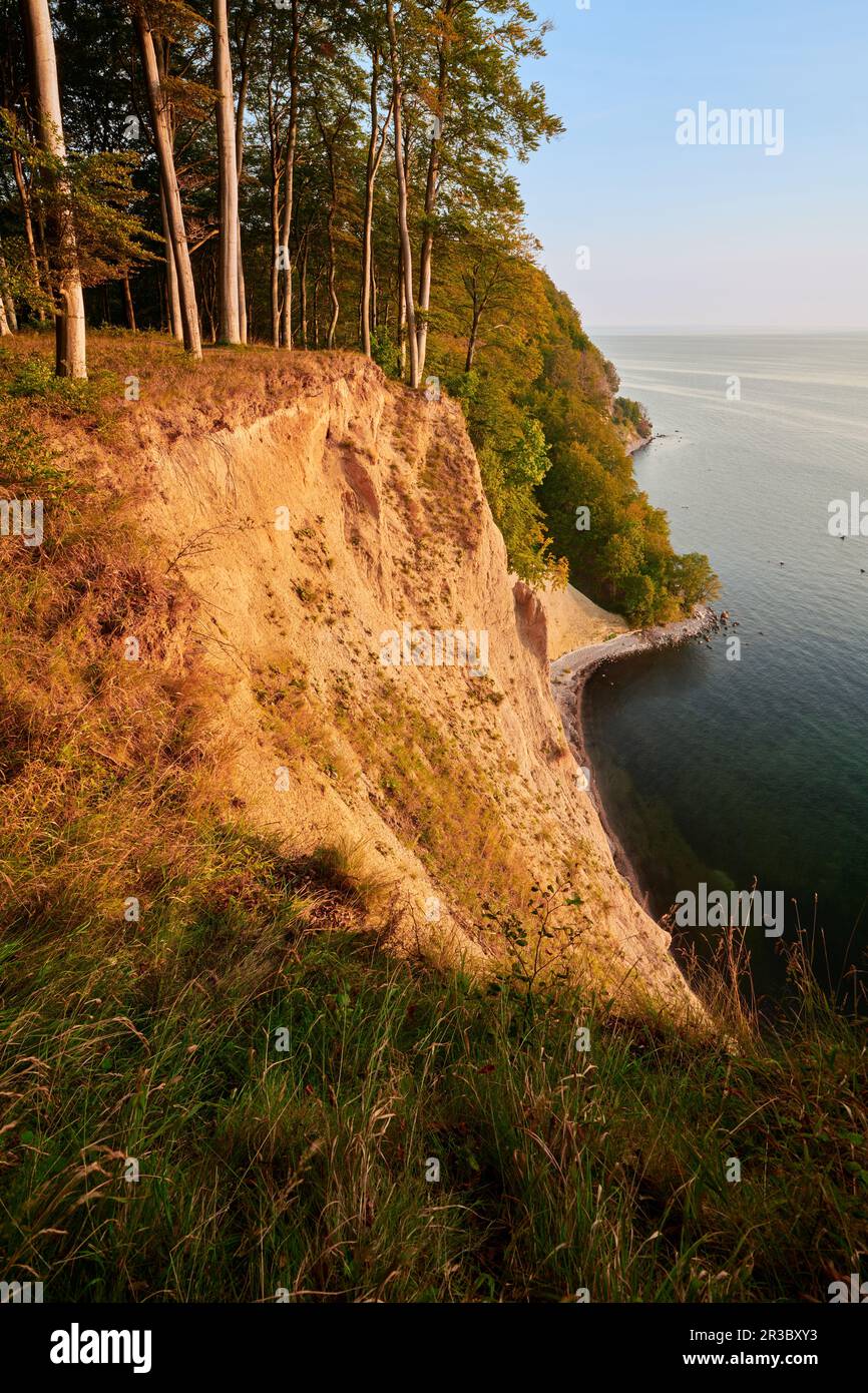 Ruegen Germania gesso rocce sentiero sul lago Foto Stock