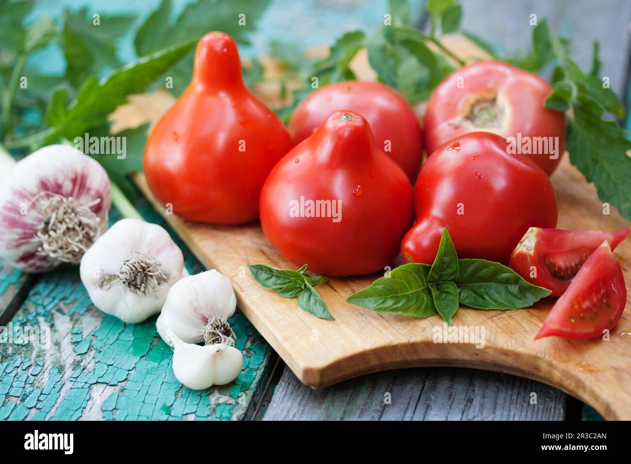 Pomodori rossi freschi con un naso allungato su una tavola Foto Stock