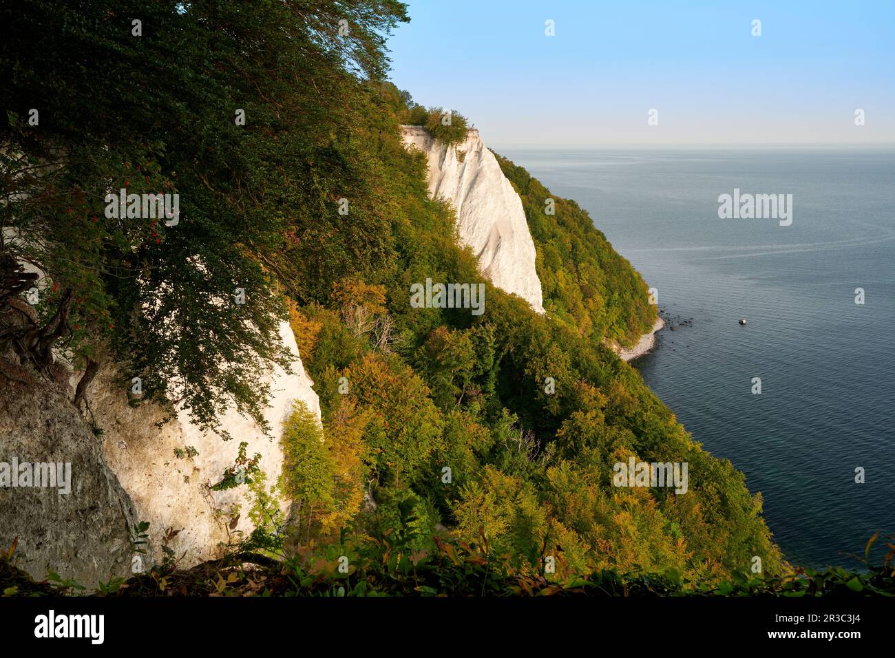 Ruegen Germania gesso rocce sentiero sul lago Foto Stock