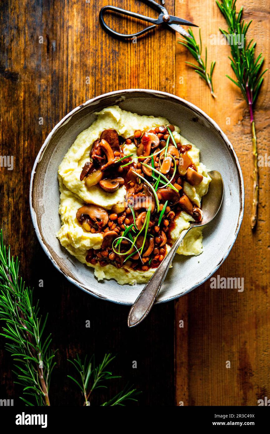 Ragù di lenticchie e funghi su pastinaca e purea di patate Foto Stock