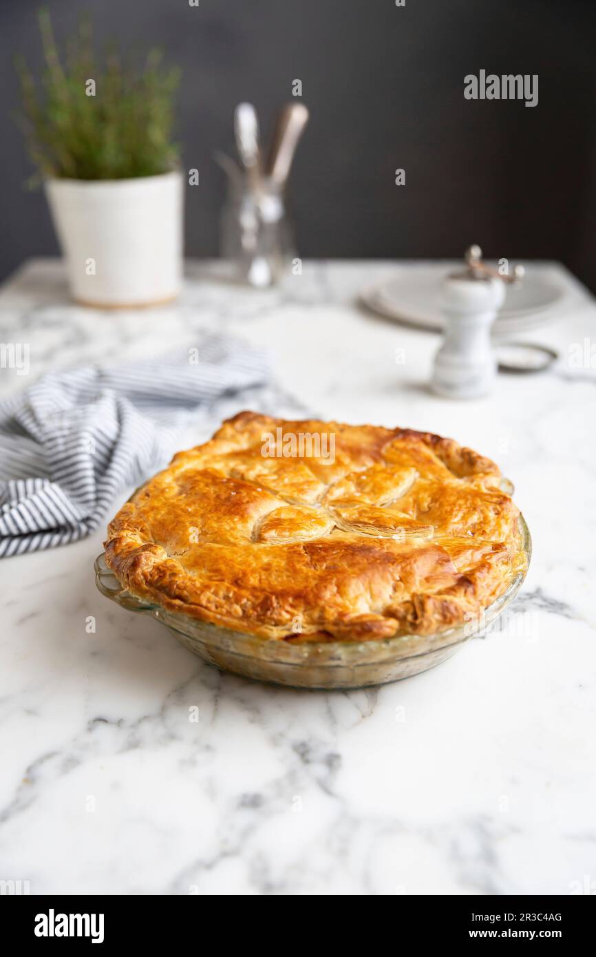 Una torta di carne inglese Foto Stock