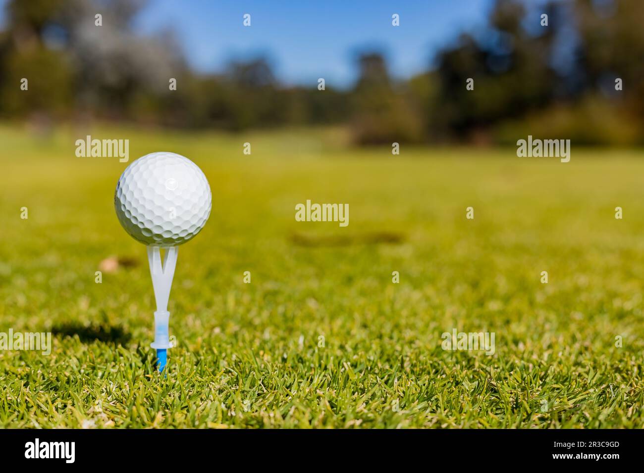 Golf Ball su un T in un campo da golf Foto Stock
