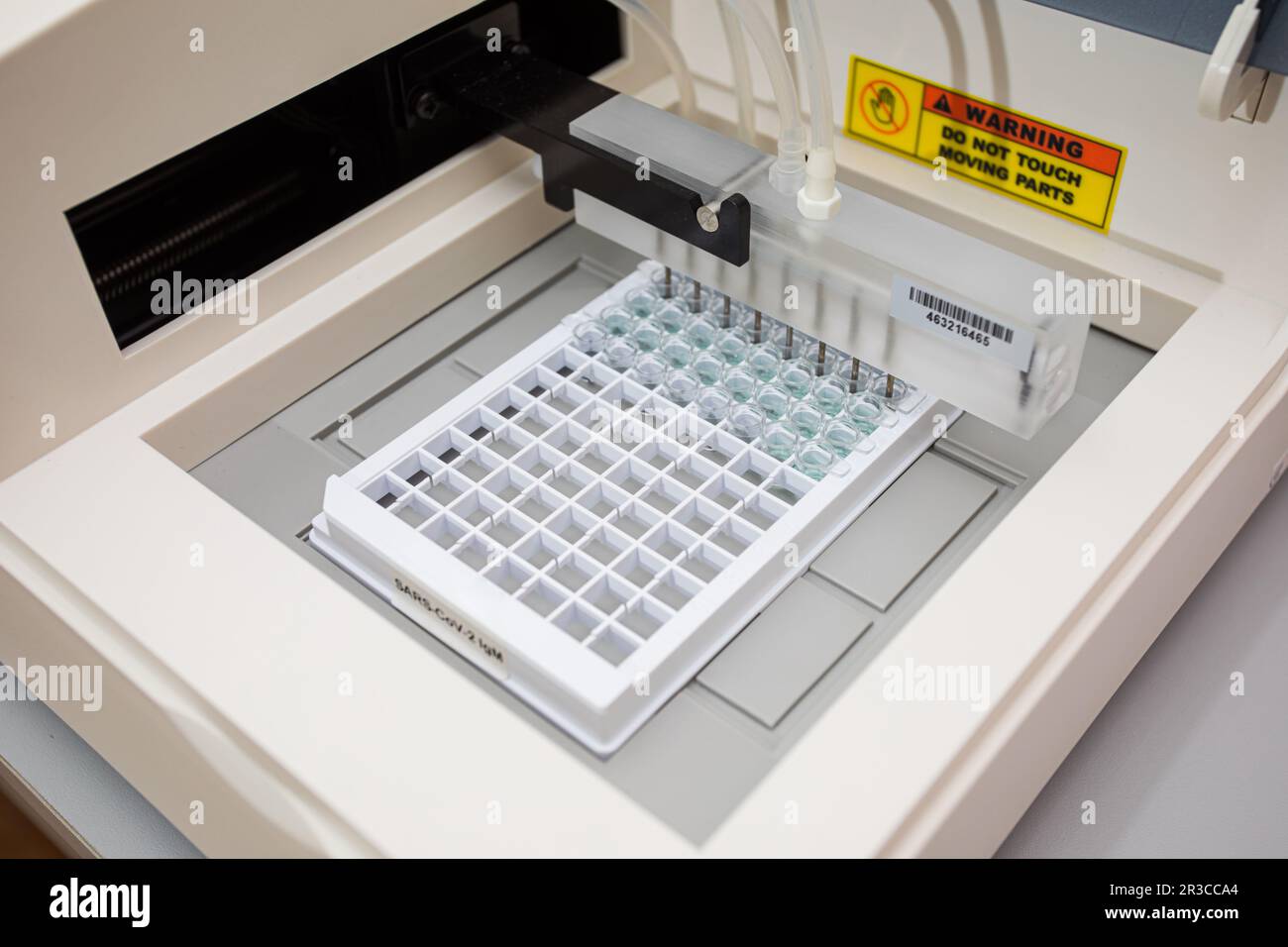 Apparecchiature di laboratorio per l'analisi del sangue alla ricerca di anticorpi Covid-19 Foto Stock