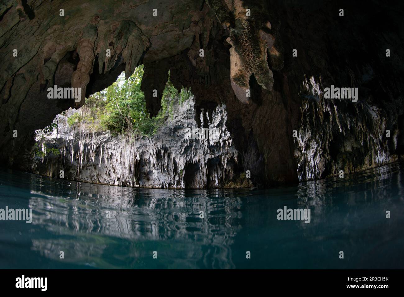 Stalattiti appendono dal tetto di una grotta crollata e piena d'acqua sul bordo di una remota isola calcarea nella Papua Occidentale, Indonesia. Foto Stock