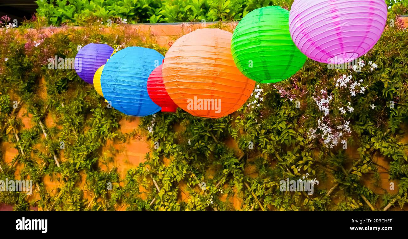 Lanterne cinesi colorate appese in un giardino Foto Stock
