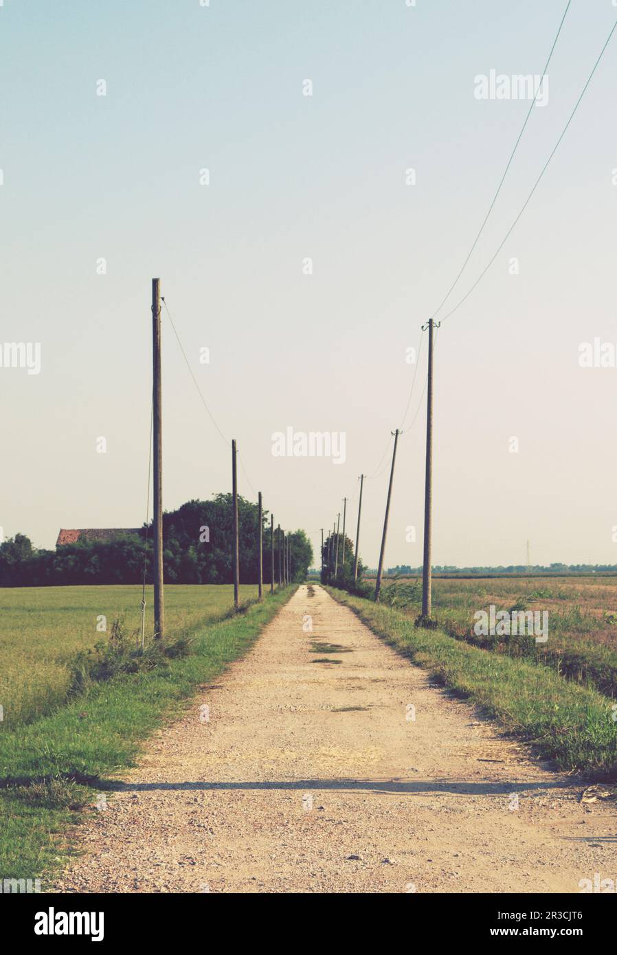 Sterrato e pali telegrafici, Polesine, Veneto, Italia Foto Stock