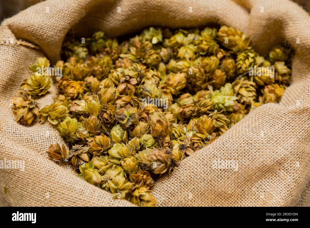 Close-up Luppolo essiccato in un sacco per la fabbricazione della birra Foto Stock