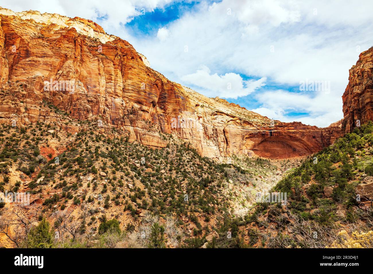 Vista della valle da vicino al tunnel; tornate sulla Zion Mount Carmel Highway; Zion National Park; Utah; USA Foto Stock