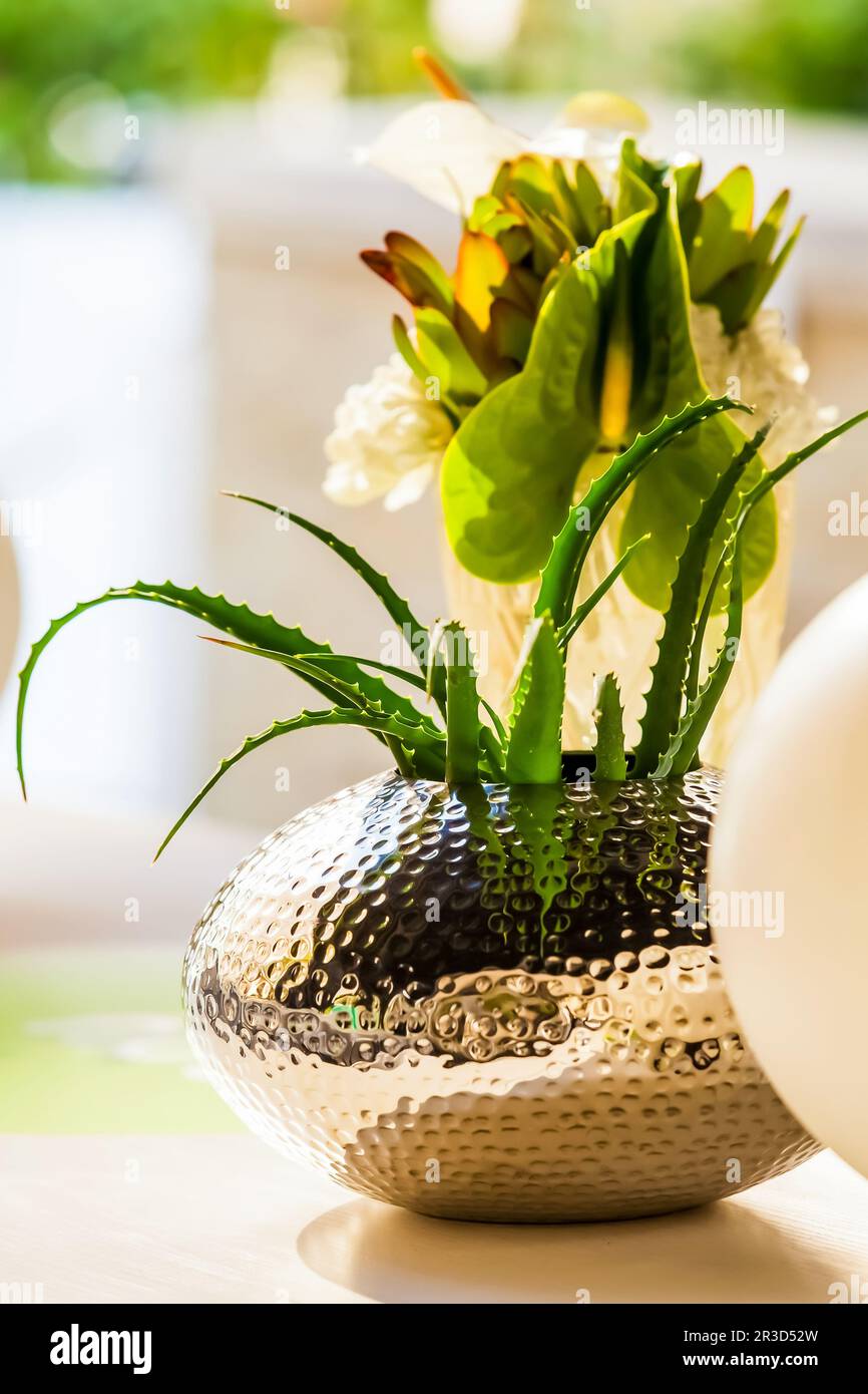 Il bianco e il verde fiore display per impostazione tabella al Festival di Primavera di evento Foto Stock