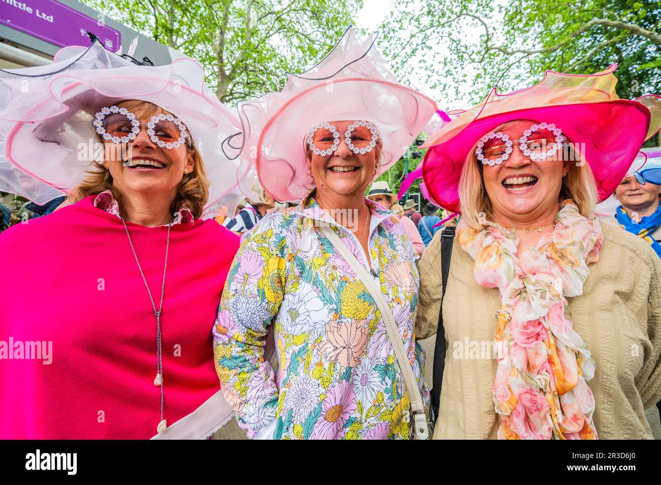 Londra, Regno Unito. 23rd maggio, 2023. Un gruppo di americani in occhiali da sole corrispondenti hanno volato sopra specialmente per lo spettacolo - il Chelsea Flower Show 2023. Credit: Guy Bell/Alamy Live News Foto Stock