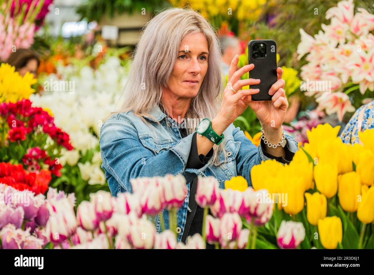 Londra, Regno Unito. 23rd maggio, 2023. Tlips e altri fiori su Bloms Bulbs - il Chelsea Flower Show 2023. Credit: Guy Bell/Alamy Live News Foto Stock