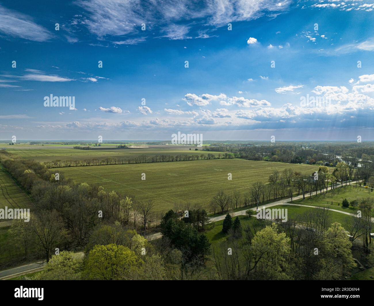 Vivace arazzo della natura: Una vista dall'alto rivela una distesa di lussureggianti campi verdi sotto una vasta tettoia di infiniti cieli blu. Foto Stock