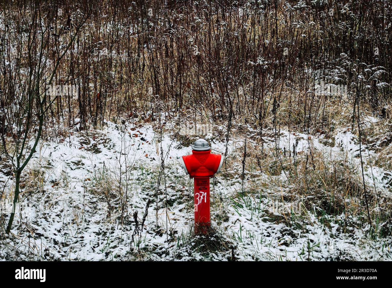 Fireplug sul prato Foto Stock