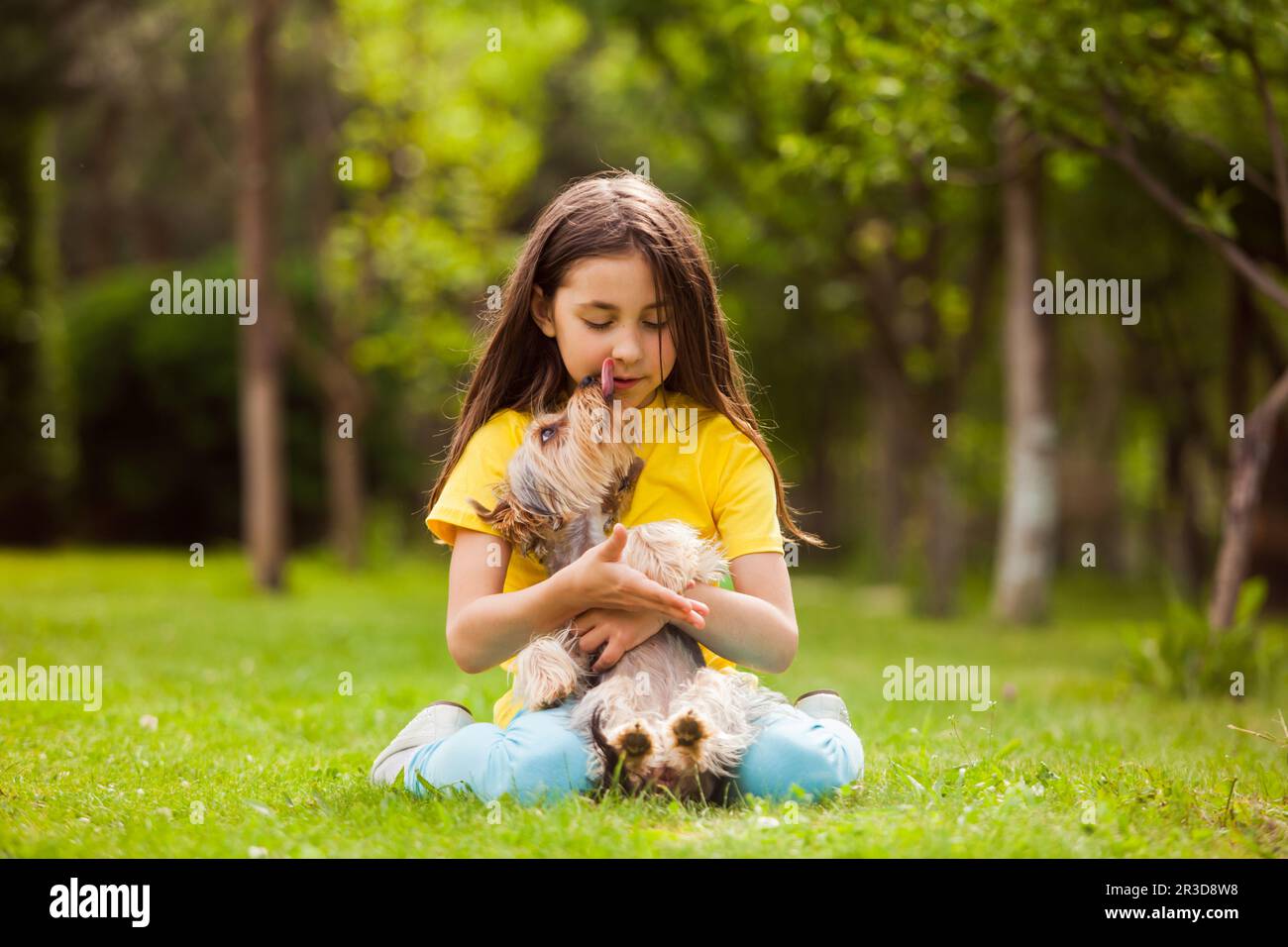 La bambina carina con il cane Yorkshire terrier nel cortile Foto Stock