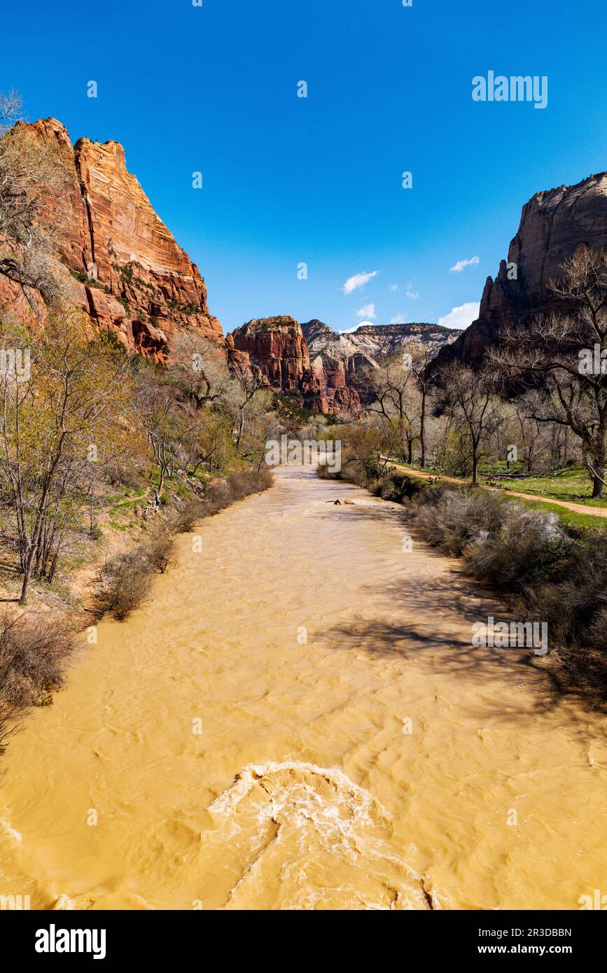 Virgin River; Lower Emerald Pools Trail; Zion National Park; Utah; USA Foto Stock