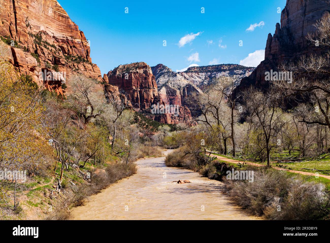 Virgin River; Lower Emerald Pools Trail; Zion National Park; Utah; USA Foto Stock