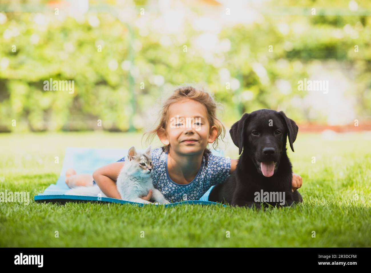Carino ragazza prescolare giocare con gli animali domestici su erba fresca Foto Stock