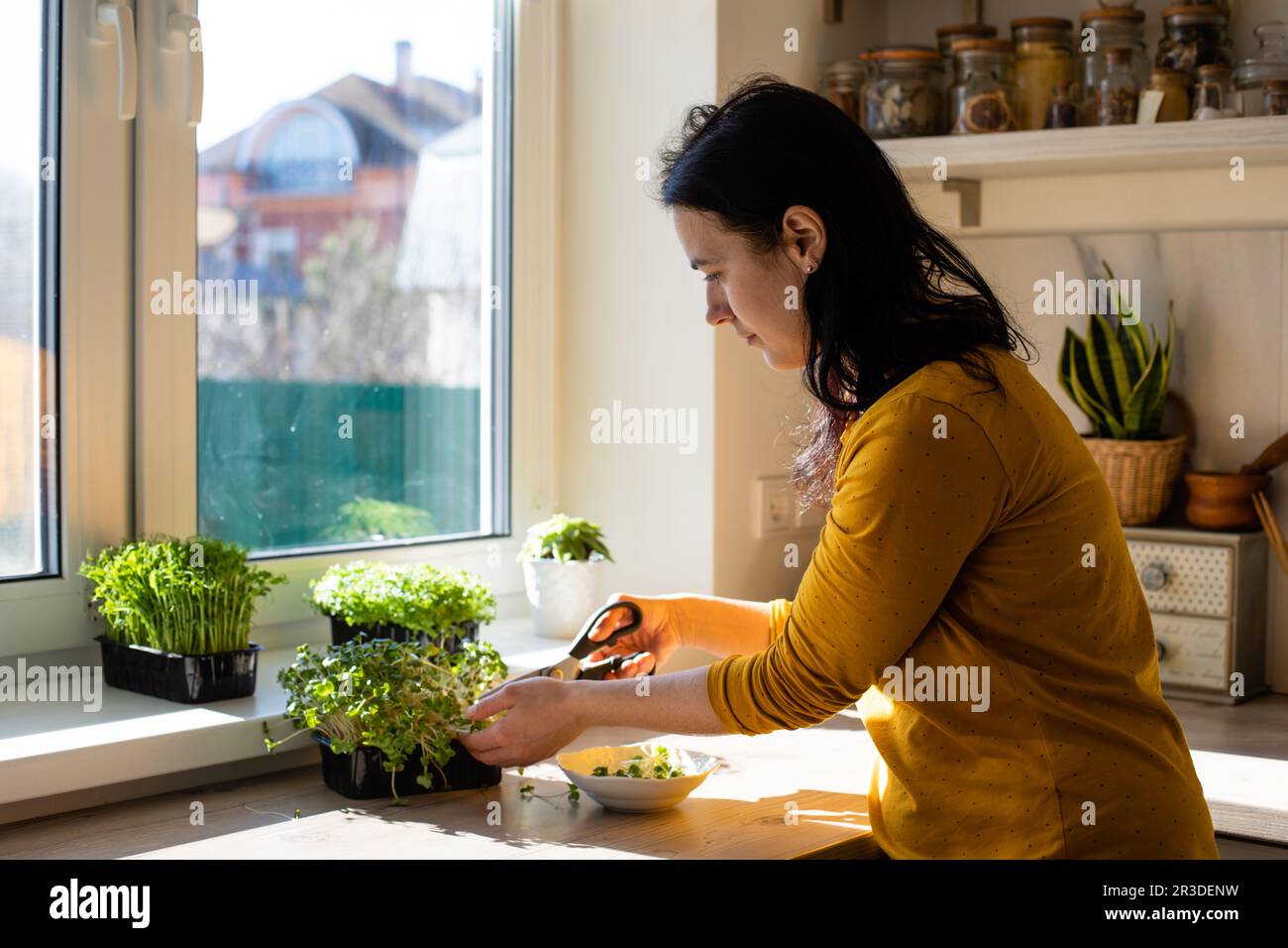 Donna che taglia i micrograni in cucina al mattino Foto Stock