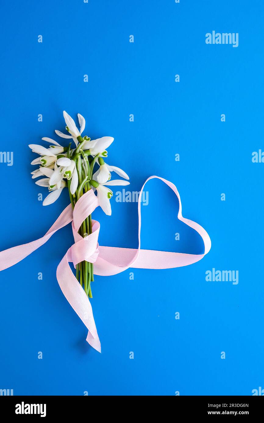 Bouquet di fiori di goccia di neve. Inizio primavera fiori. Sfondo delle vacanze. Biglietto di auguri. Foto Stock