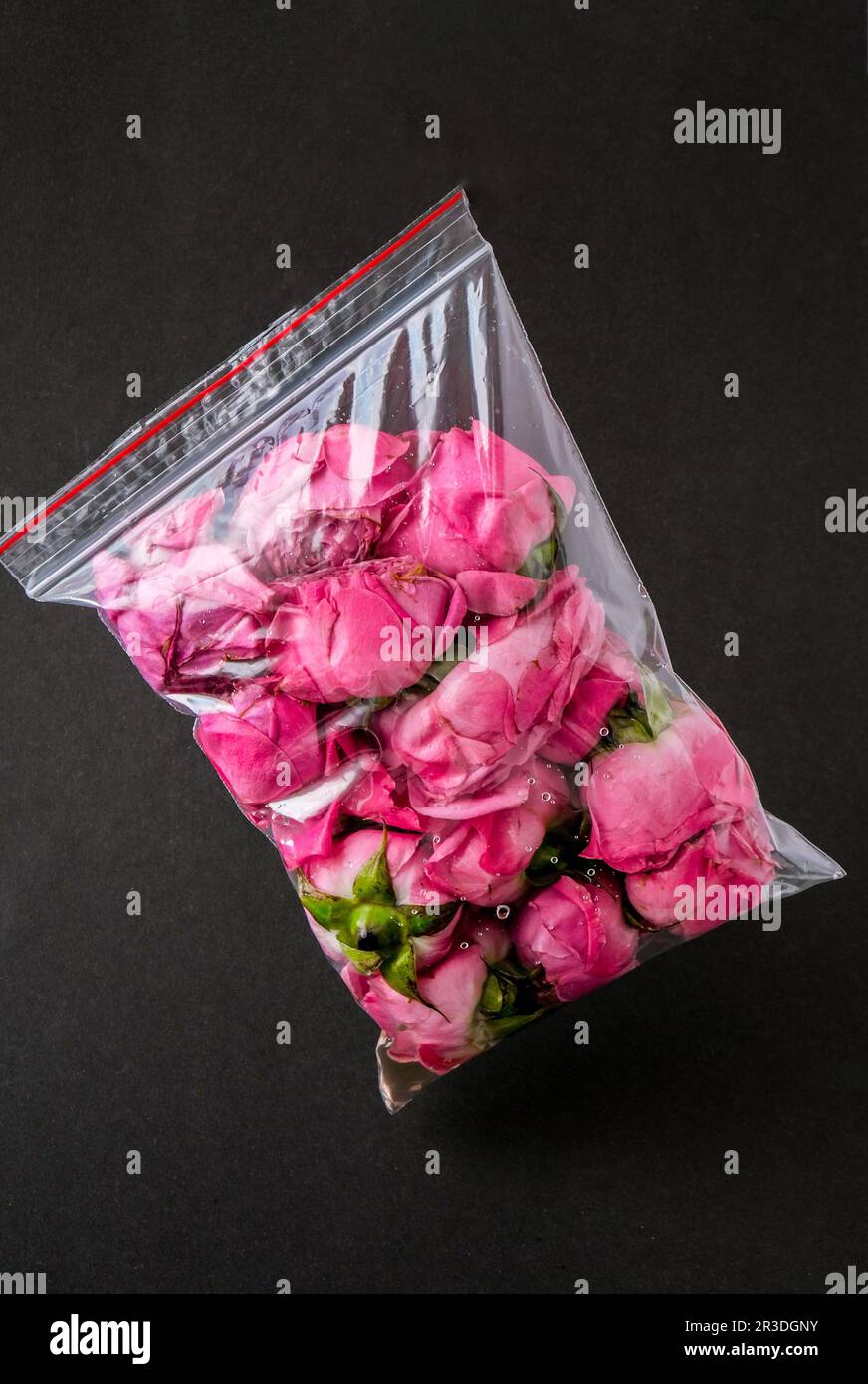 Concetto di inquinamento ambientale. Fiorire in una borsa di plastica. Problema di pericolo. Conservazione ambientale. Stile di vita ecologico Foto Stock