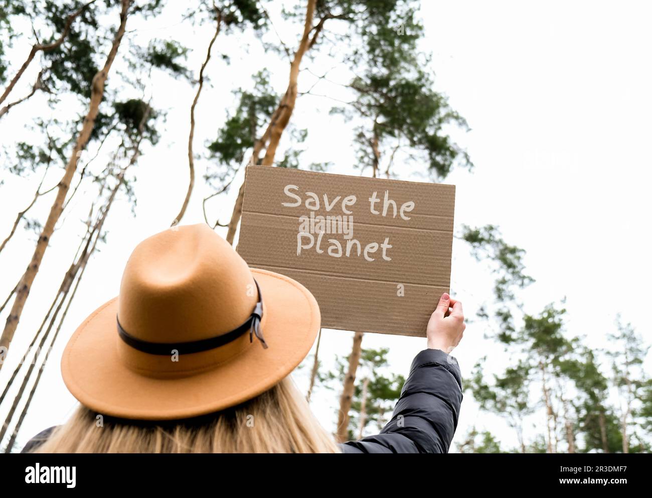 Le mani femminili che tengono il cartone con il testo SALVANO IL PIANETA all'aperto. Natura sfondo. Attivista protettore Foto Stock