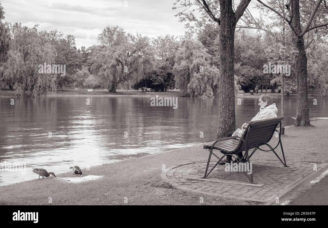 Bucarest, Romania - Maggio 2023: Vinatage immagine monocromatica con una donna solitaria anziana seduta su una panchina e guardando le anatre. Foto Stock