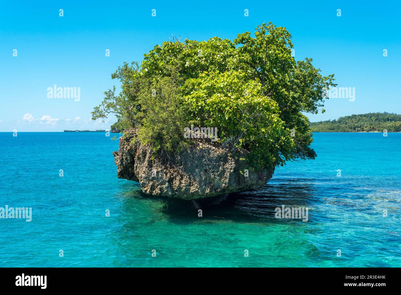 Rocce sovracresciute sulle isole Toghiane Foto Stock