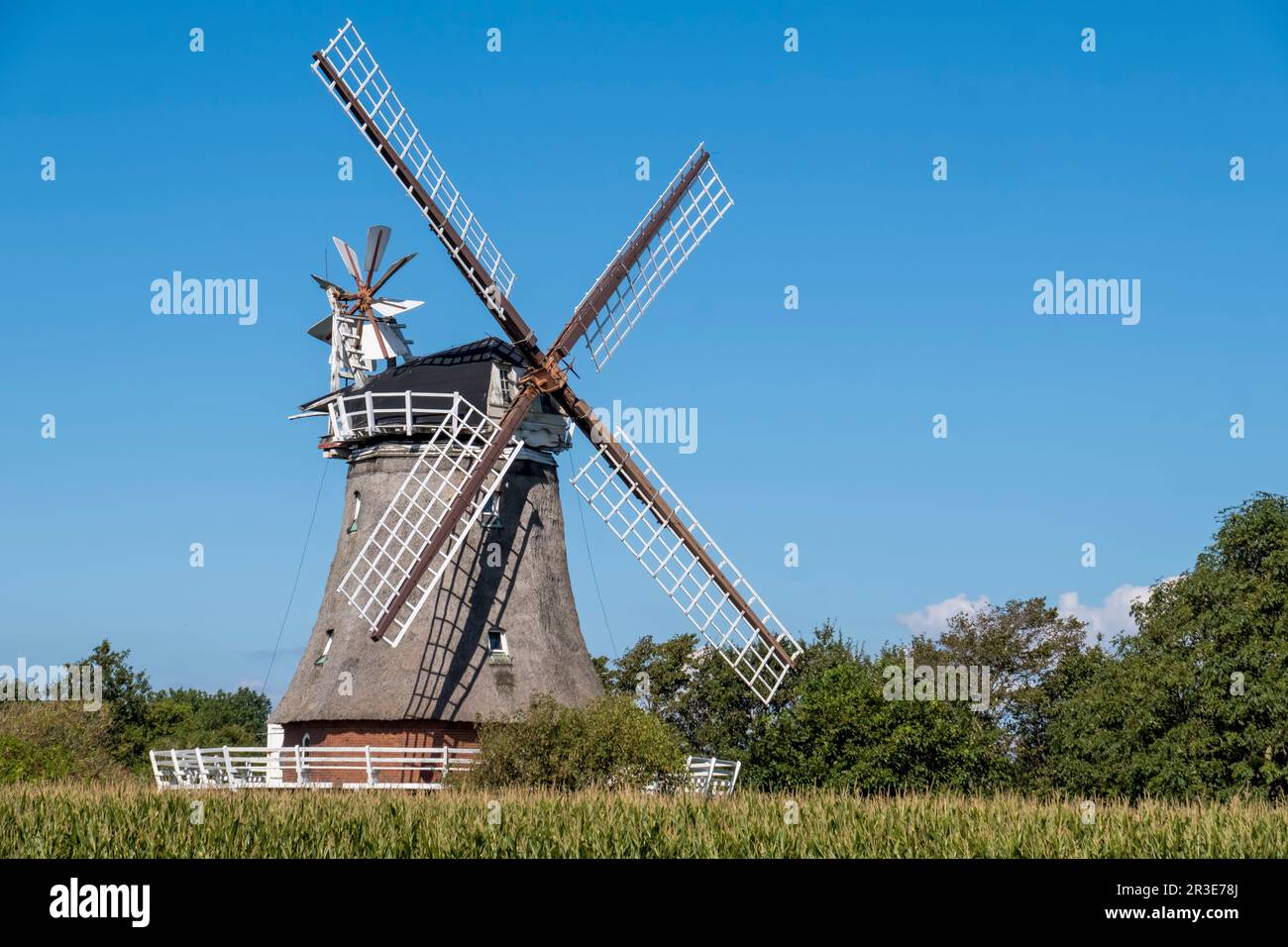 Oldsumer GalleriehollÃ¤nder, isola di FÃ¶hr Foto Stock