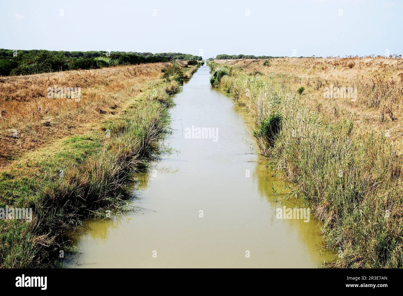 Canale d'acqua Foto Stock