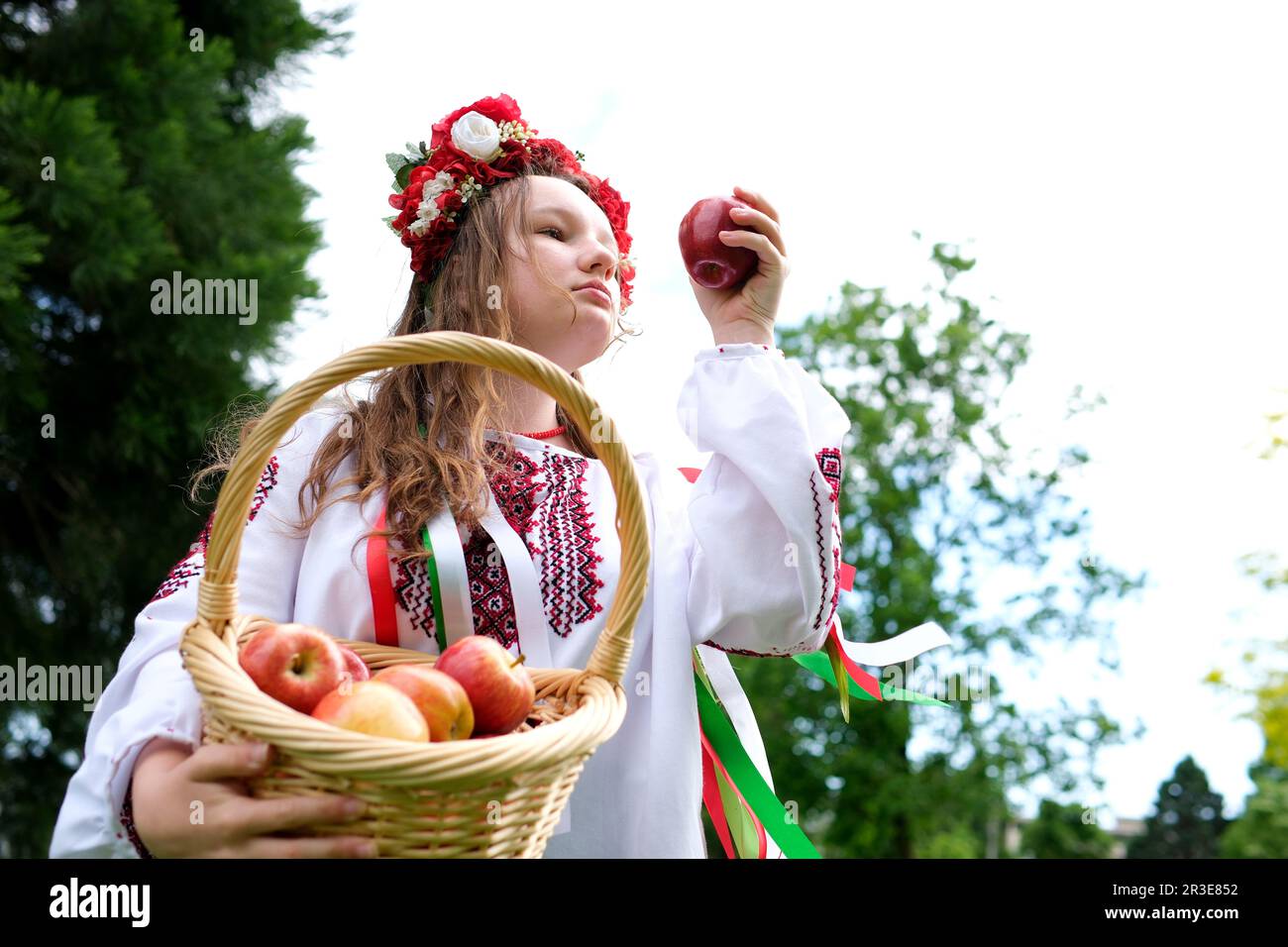 bella ragazza ucraina in una corona rossa con cesto di mele raccolta donna ucraina in vyshyvanka tradizionale a croce-punto su camicia bianca sciolto capelli labbra con arco in natura mangiare deliziose mele Foto Stock