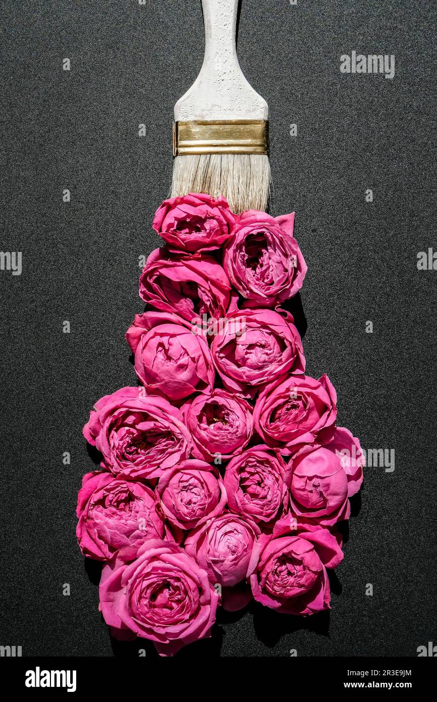 Disegno a pennello con fiori rosa su sfondo nero. Il concetto di primavera e di giornata femminile internazionale. Floreale pa Foto Stock
