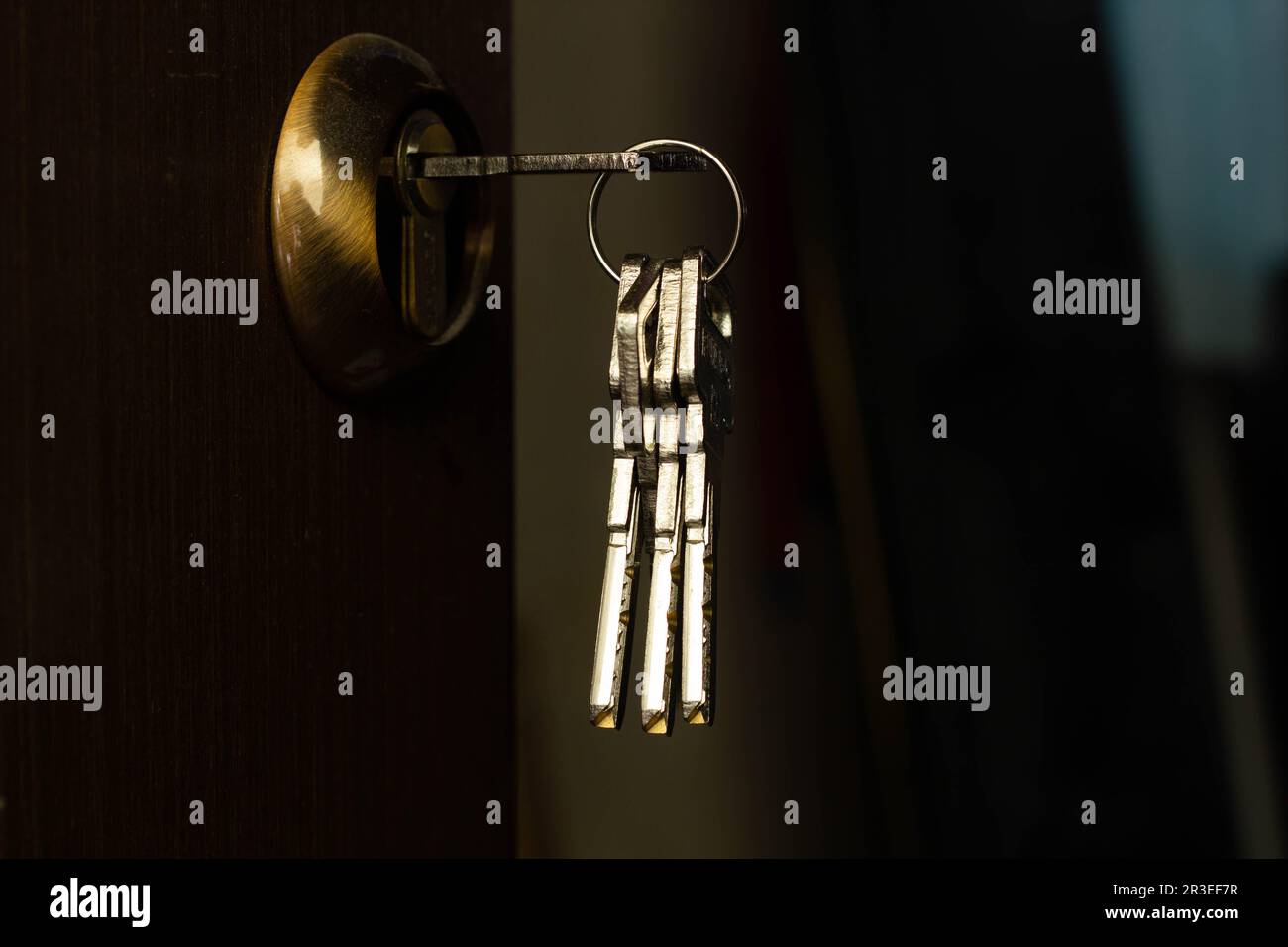Un mazzo di chiavi sporge dalla serratura della porta. Le chiavi in acciaio inossidabile sporgono da una serratura in ottone dorato in una porta interna marrone. Porta d'ingresso Foto Stock