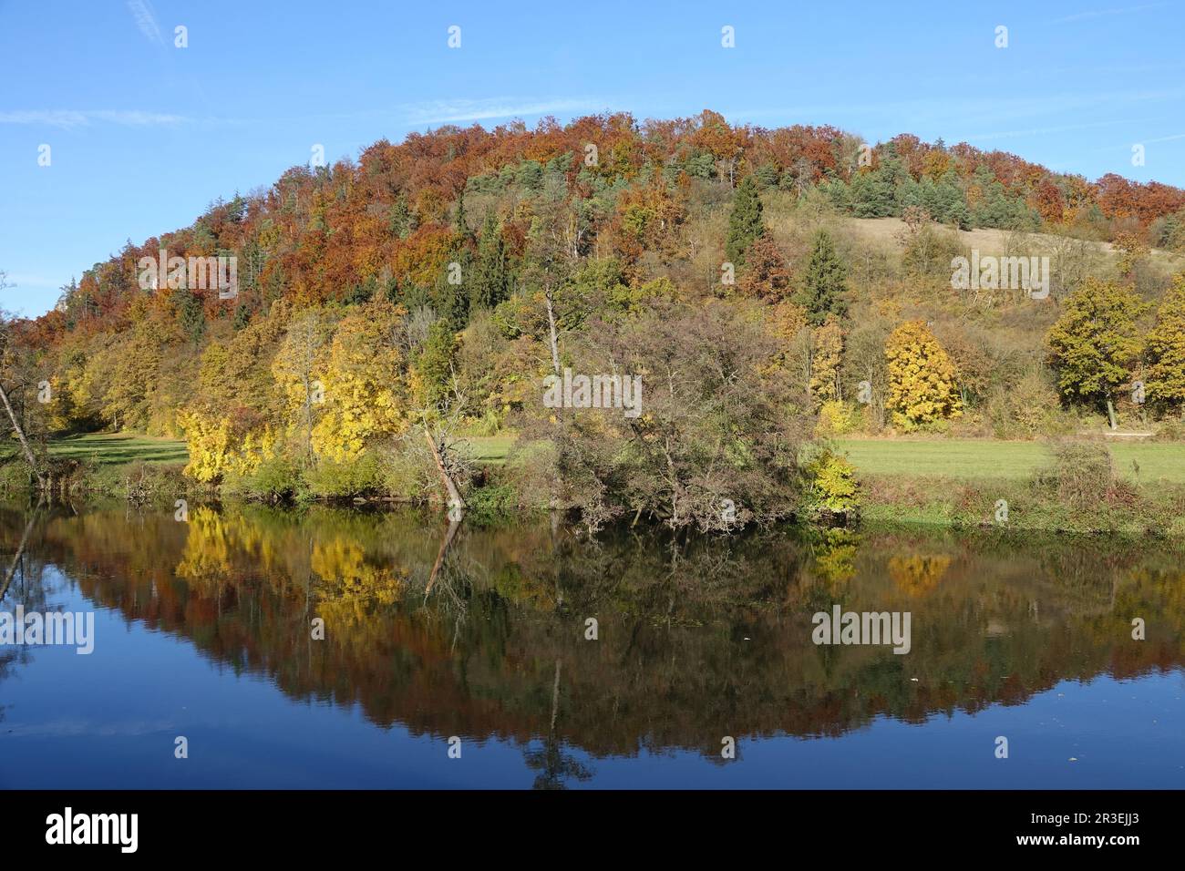 Foresta mista, autunno Foto Stock