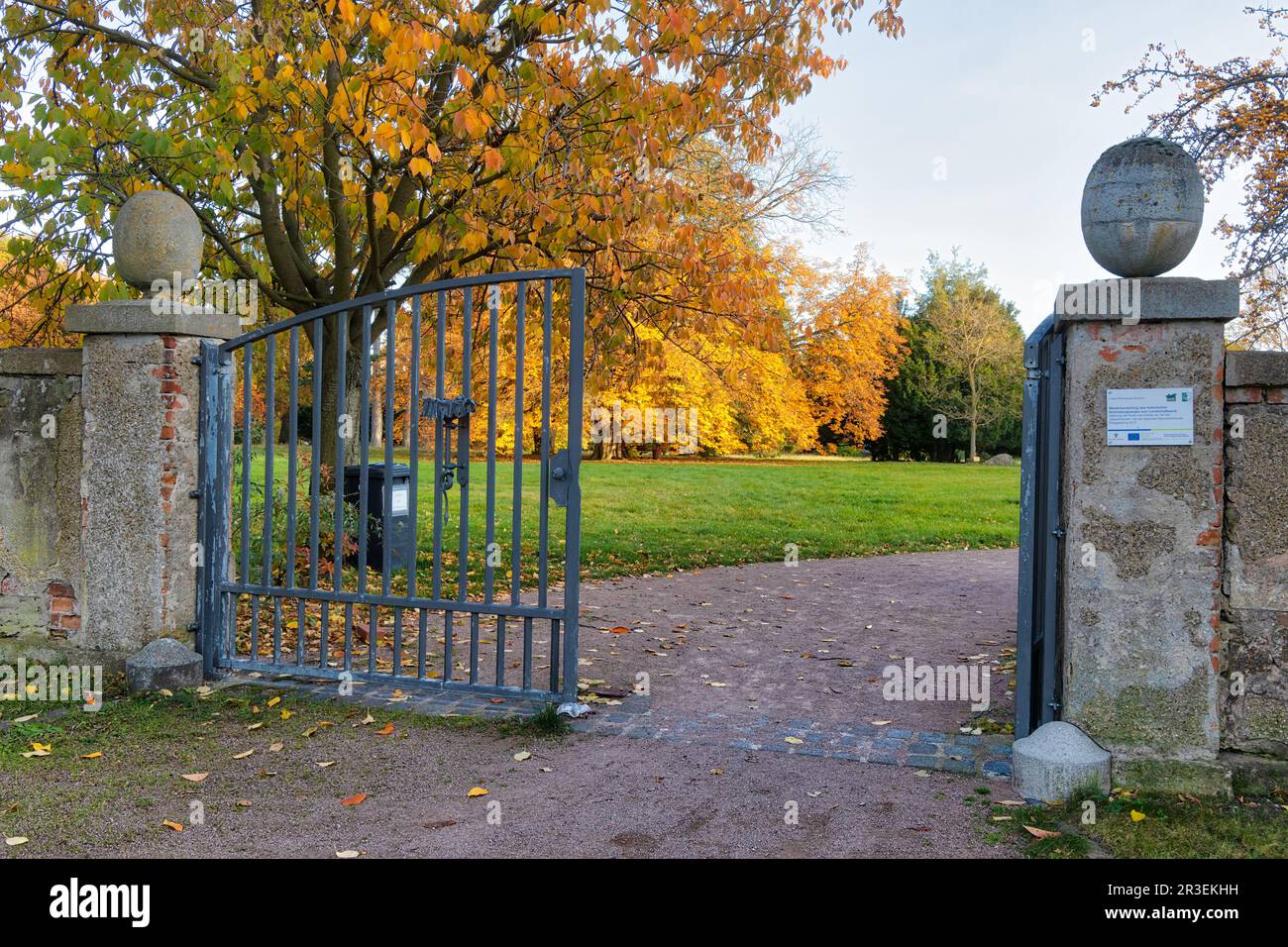 Parco paesaggistico Degnershausen in autunno Selketal Foto Stock