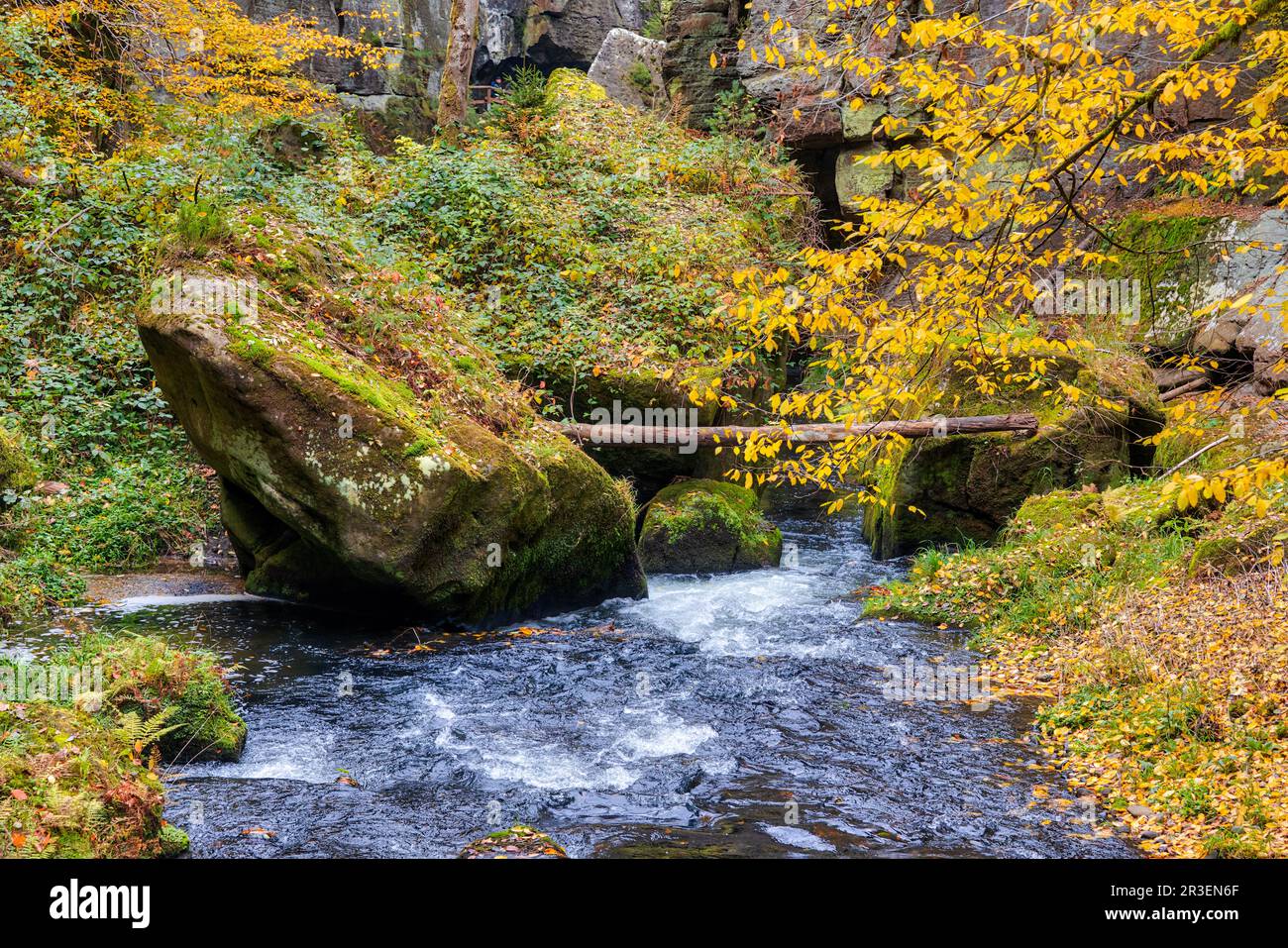 Edmundsklamm Elbe Montagne arenaria Boemia Svizzera Foto Stock